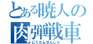 とある暁人の肉弾戦車（にくだんせんしゃ）