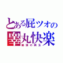 とある屁ツオの睾丸快楽（絶頂の両玉）