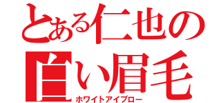 とある仁也の白い眉毛（ホワイトアイブロー）