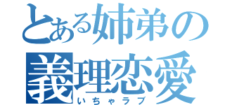 とある姉弟の義理恋愛（いちゃラブ）