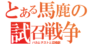 とある馬鹿の試召戦争（バカとテストと召喚獣）