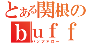 とある関根のｂｕｆｆａｌｏ（バッファロー）