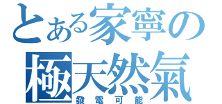 とある家寧の極天然氣（發電可能）