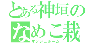 とある神垣のなめこ栽培（マッシュルーム）