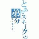 とあるスネークの弟分（ぱりちゃん）