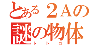 とある２Ａの謎の物体（トトロ）