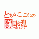 とあるここなの蹴球魂（サッカーＬＯＶＥ）