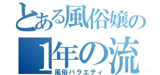 とある風俗嬢の１年の流れ（風俗バラエティ）