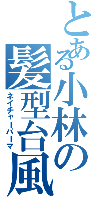 とある小林の髪型台風（ネイチャーパーマ）