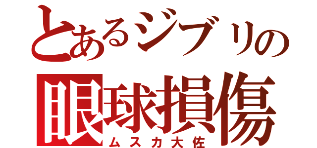 とあるジブリの眼球損傷（ムスカ大佐）