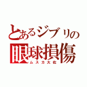 とあるジブリの眼球損傷（ムスカ大佐）