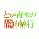 とある青木の静的暴行（ショータイム）