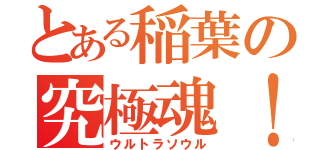 とある稲葉の究極魂！（ウルトラソウル）