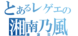 とあるレゲエの湘南乃風（睡蓮花）