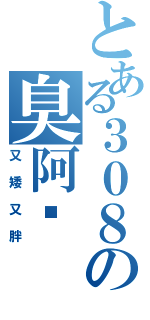 とある３０８の臭阿奶（又矮又胖）