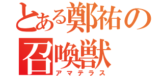 とある鄭祐の召喚獣（アマテラス）