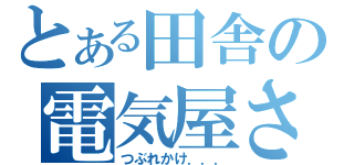 とある田舎の電気屋さ（つぶれかけ．．．）