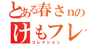 とある春さｎのけもフレ（コレクション）