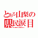 とある山梨の県民涙目（笑ってる場合ですよ！が放送されなかった）