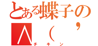 とある蝶子の∧（ \'Θ\' ）∧（チキン）