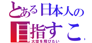 とある日本人の目指すこと（大空を翔びたい）