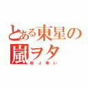 とある東星の嵐ヲタ（翔Ｊ尊い）