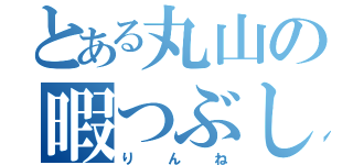 とある丸山の暇つぶし（りんね）