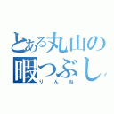 とある丸山の暇つぶし（りんね）