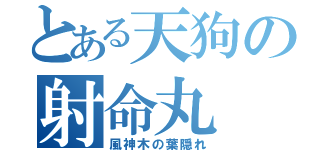 とある天狗の射命丸（風神木の葉隠れ）