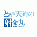 とある天狗の射命丸（風神木の葉隠れ）