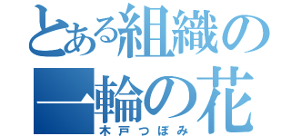 とある組織の一輪の花（木戸つぼみ）