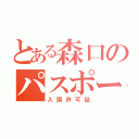 とある森口のパスポート（入国許可証）