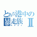 とある港中の暴走族Ⅱ（キチガイ）