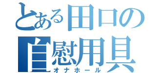 とある田口の自慰用具（オナホール）