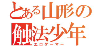 とある山形の触法少年（エロゲーマー）