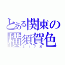 とある関東の横須賀色（２１７系）