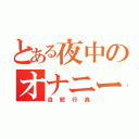 とある夜中のオナニー（自慰行為）