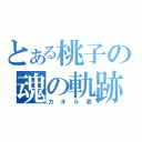 とある桃子の魂の軌跡（カオル君）