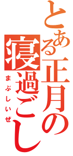 とある正月の寝過ごした（まぶしいぜ）