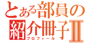 とある部員の紹介冊子Ⅱ（プロフィール）