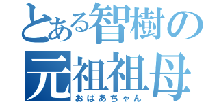 とある智樹の元祖祖母（おばあちゃん）