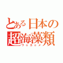 とある日本の超海藻類（ワ☆カ☆メ）