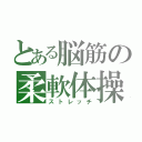 とある脳筋の柔軟体操（ストレッチ）