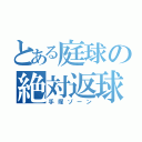 とある庭球の絶対返球（手塚ゾーン）