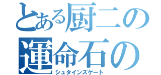 とある厨二の運命石の扉（シュタインズゲート）