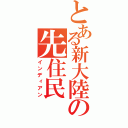 とある新大陸の先住民（インディアン）