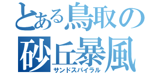 とある鳥取の砂丘暴風（サンドスパイラル）