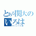 とある関大のいろは（キャンパス祭）