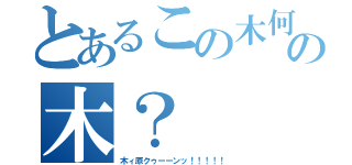 とあるこの木何の木？（木ィ原クゥーーンッ！！！！！）