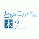 とあるこの木何の木？（木ィ原クゥーーンッ！！！！！）